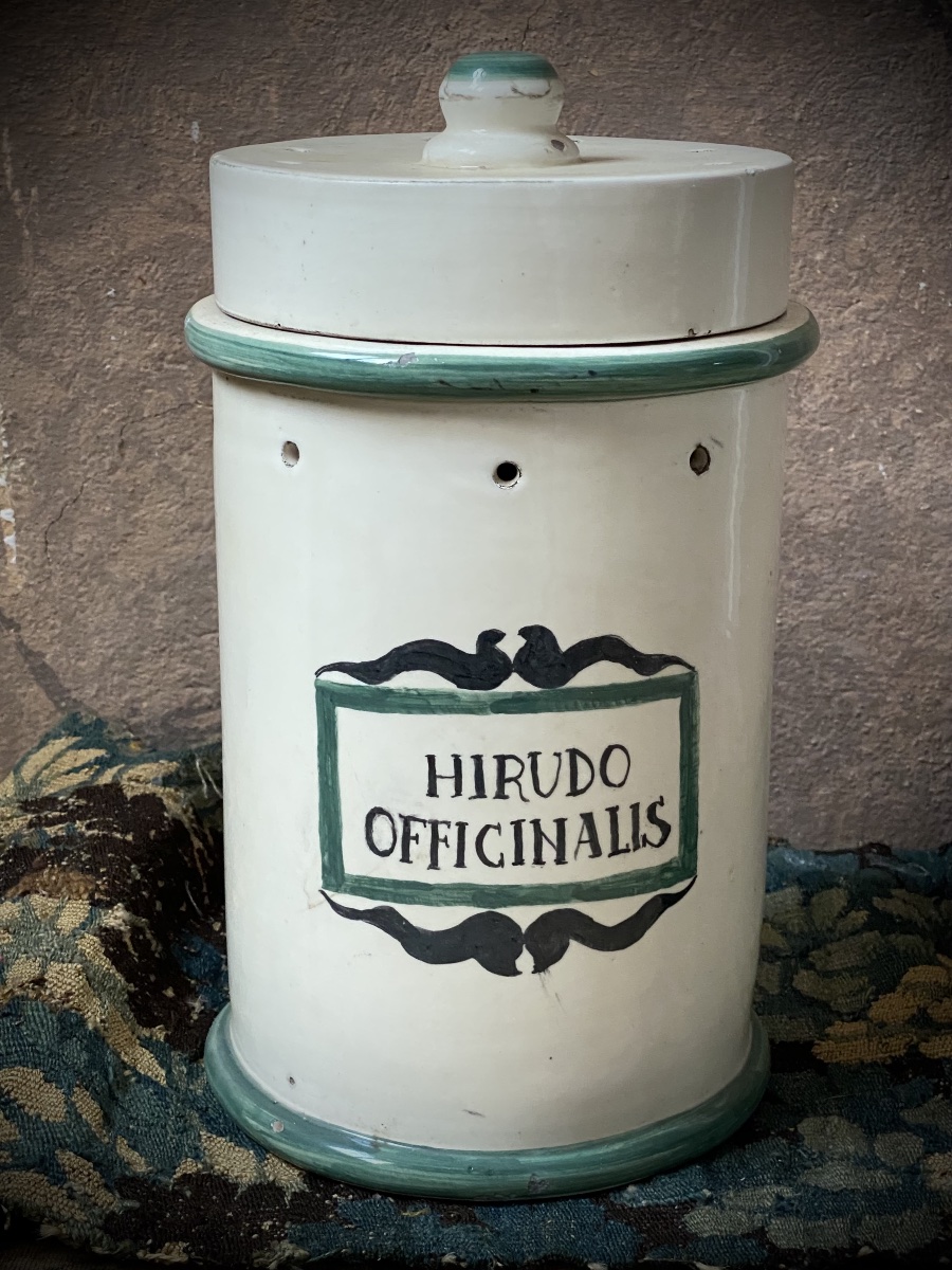 Rare Pharmacy Jar For Leeches /bloodletting - Italy, Late 19th Century