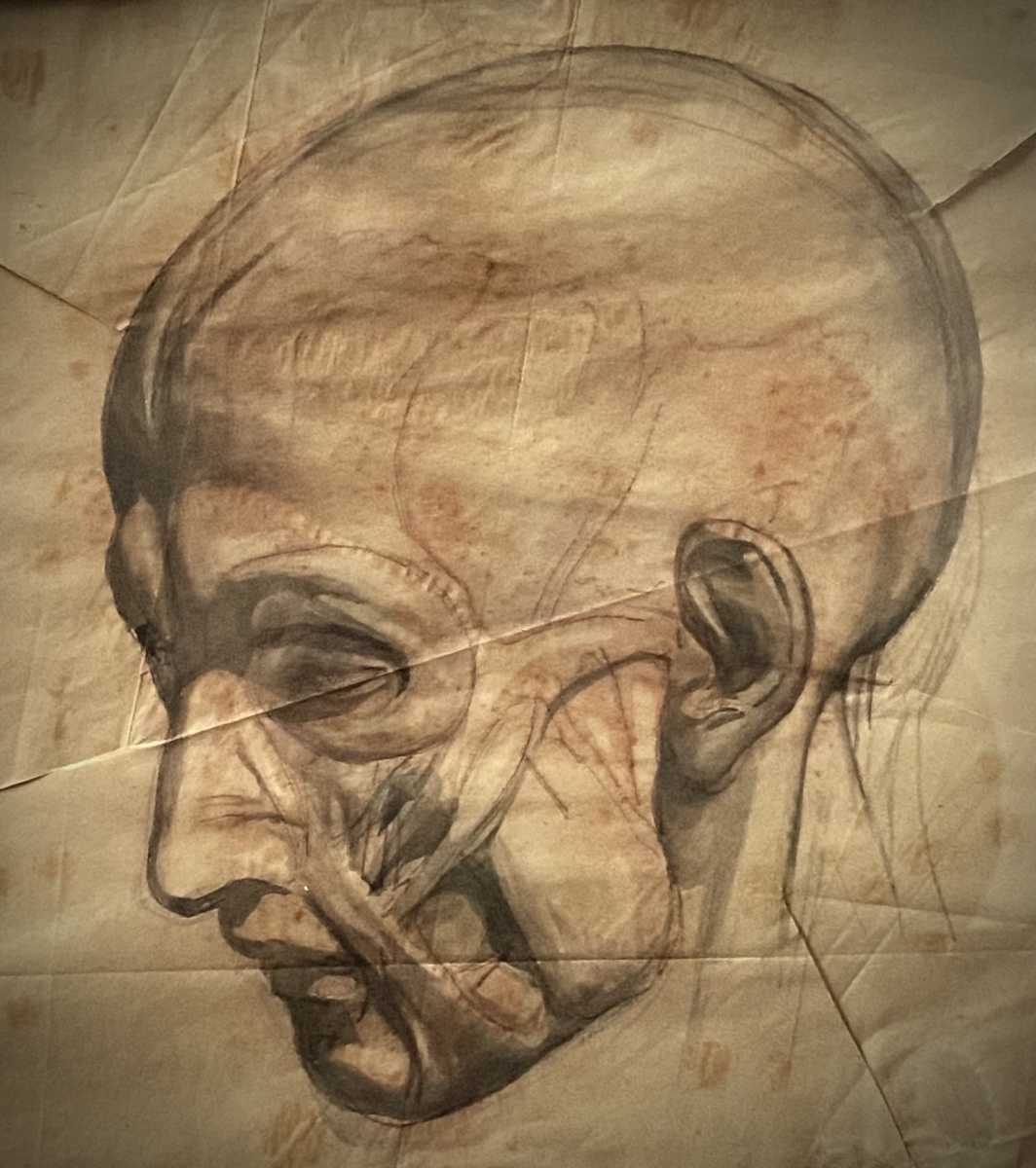 Modèle anatomique d'une tête d'homme écorchée  . Dessin à la sanguine de l'Académie d'art-photo-3