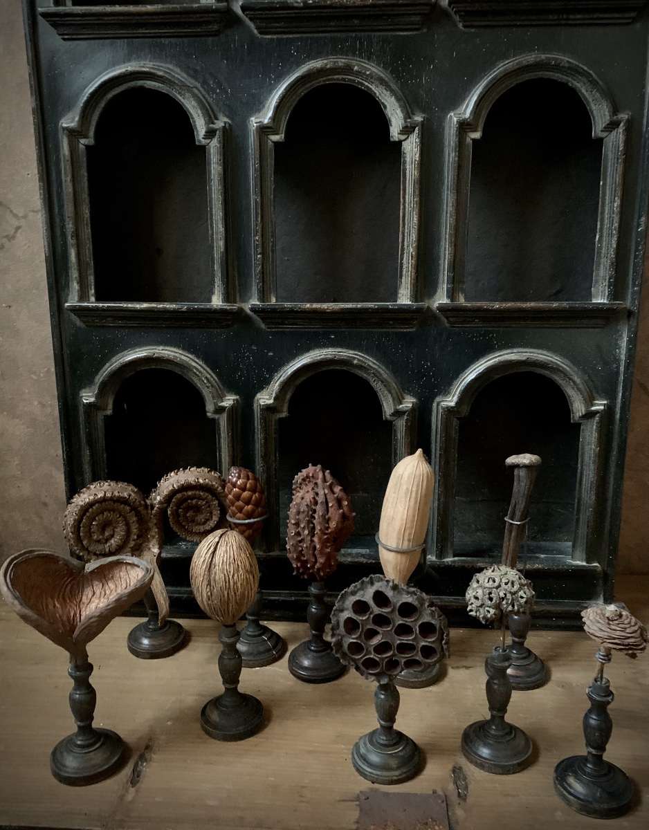 Botanical Collection Of 10 Tropical Seeds Mounted On Turned Bases-photo-2