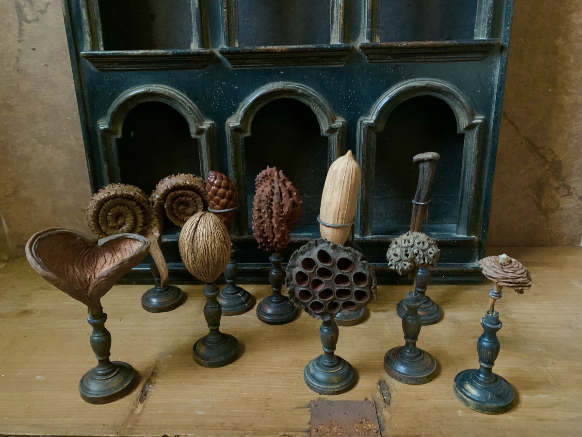 Botanical Collection Of 10 Tropical Seeds Mounted On Turned Bases-photo-4
