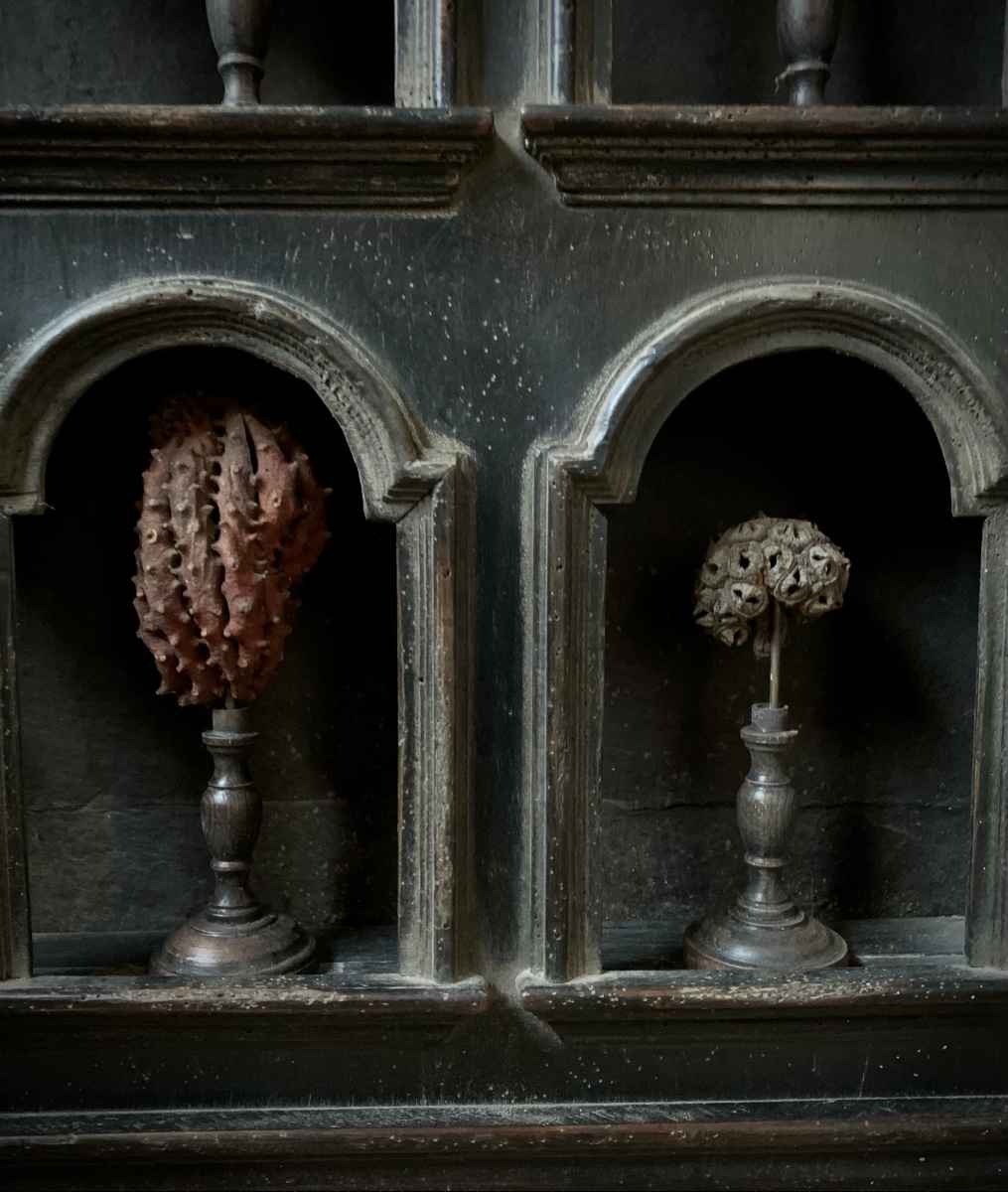 Botanical Collection Of 10 Tropical Seeds Mounted On Turned Bases-photo-5