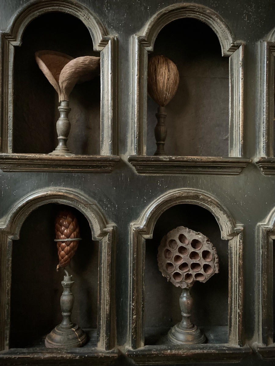 Botanical Collection Of 10 Tropical Seeds Mounted On Turned Bases-photo-7
