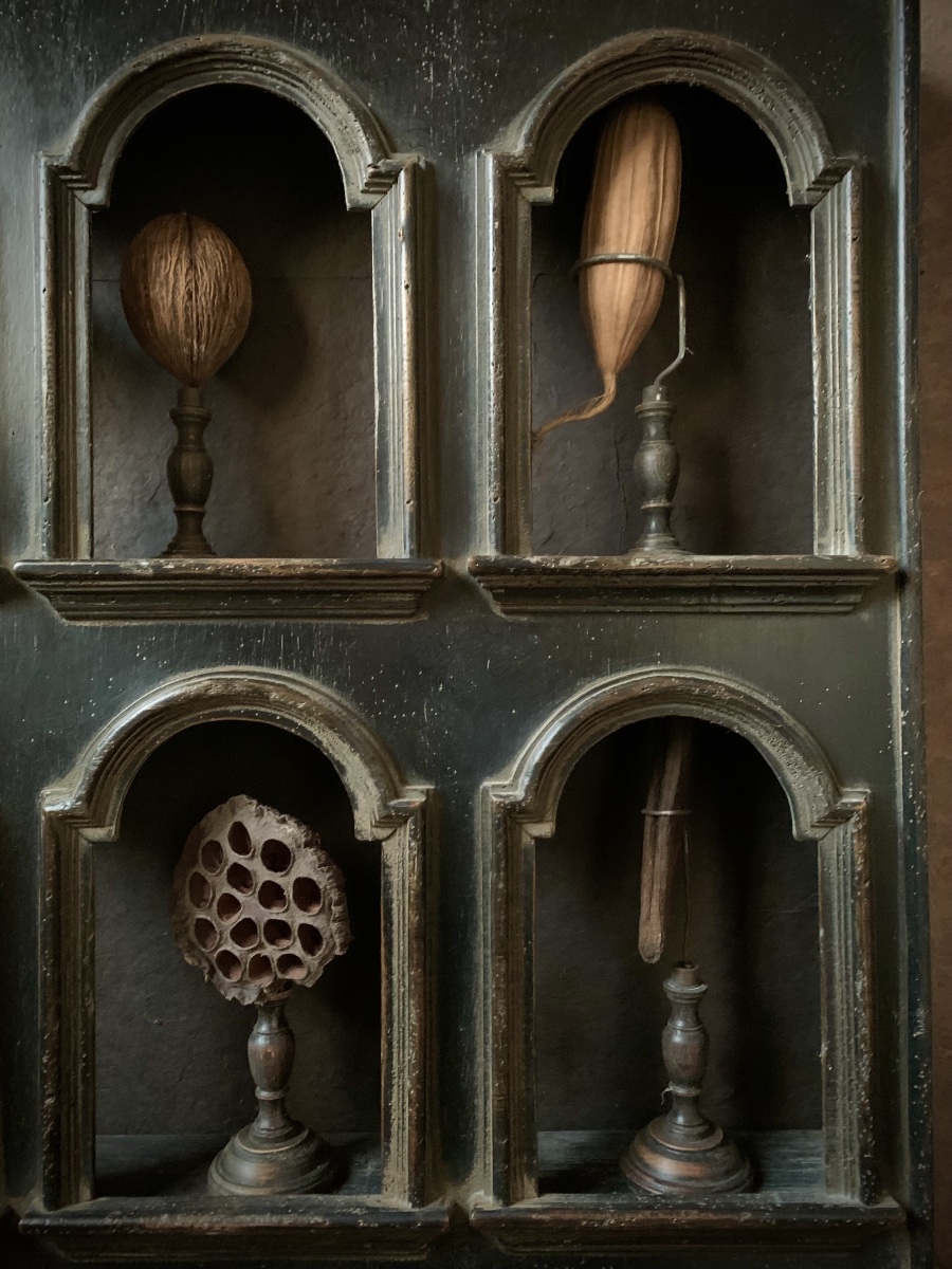 Botanical Collection Of 10 Tropical Seeds Mounted On Turned Bases-photo-8
