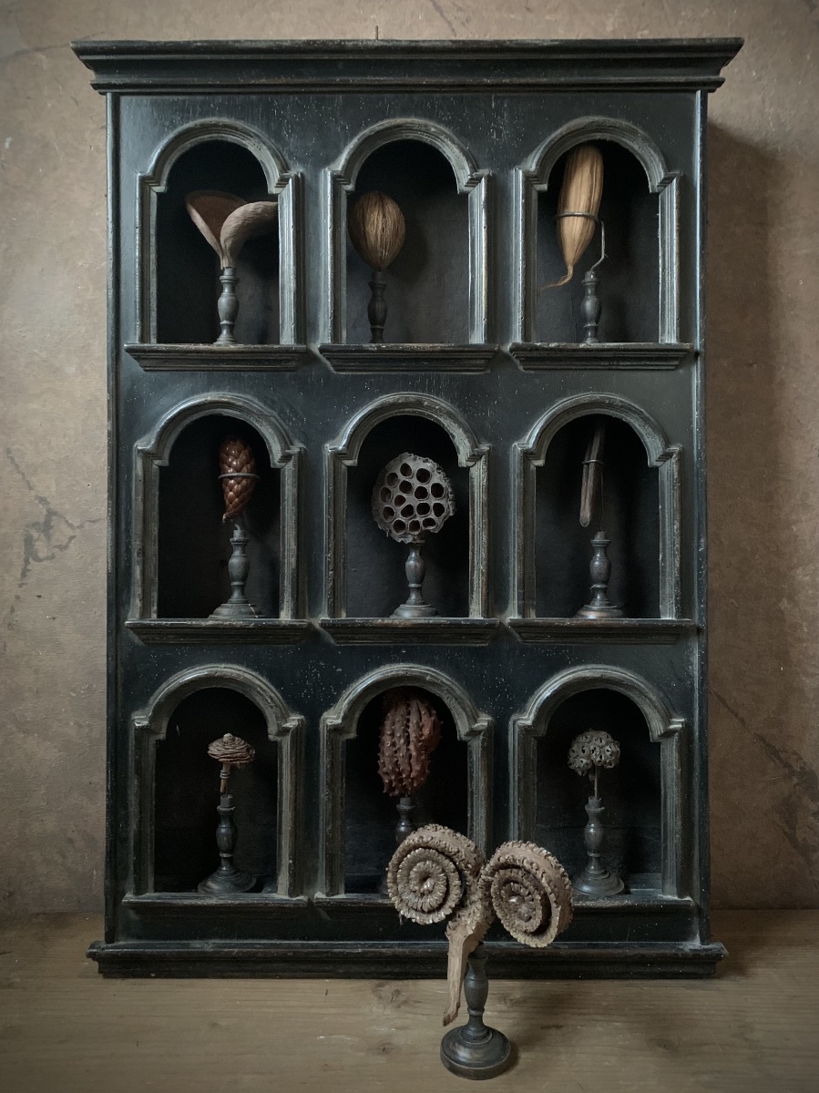 Botanical Collection Of 10 Tropical Seeds Mounted On Turned Bases