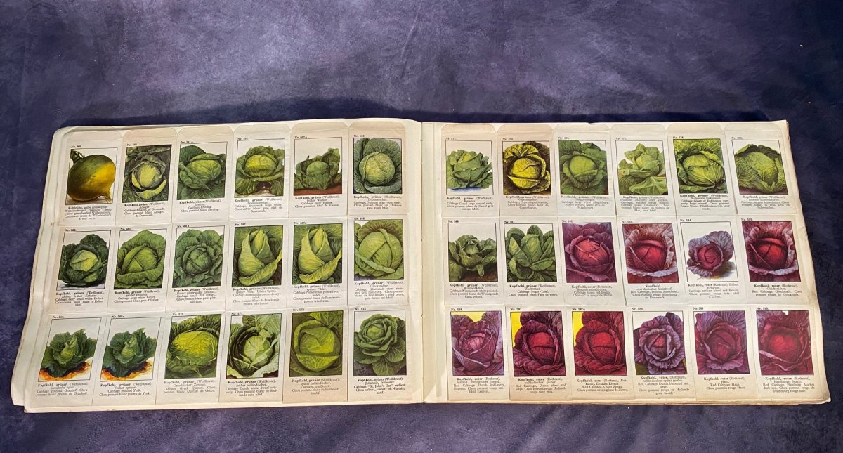 Large German Catalog Of Seeds For Flowers And Vegetables --photo-3