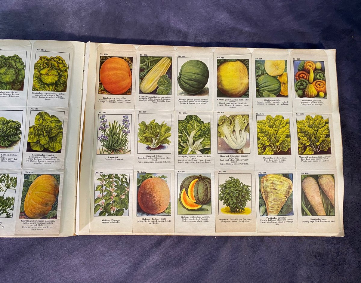 Large German Catalog Of Seeds For Flowers And Vegetables --photo-4