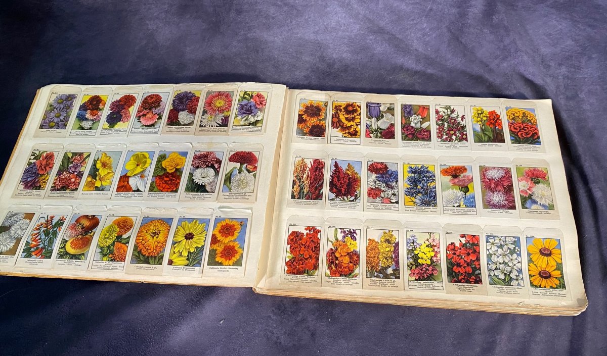 Large German Catalog Of Seeds For Flowers And Vegetables --photo-7