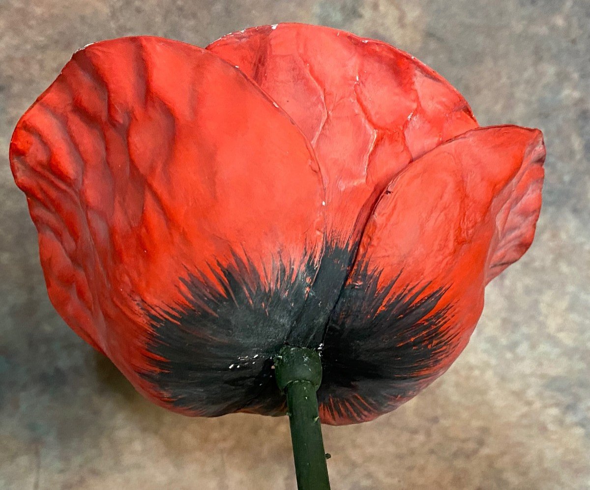 MODÈLE BOTANIQUE ANCIEN DE FLEUR DE COQUELICOT EN PAPIER MACHÉ-photo-3