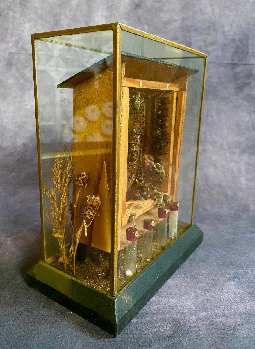 Raro Diorama Di Un Alveare - Apis Mellifera-photo-3