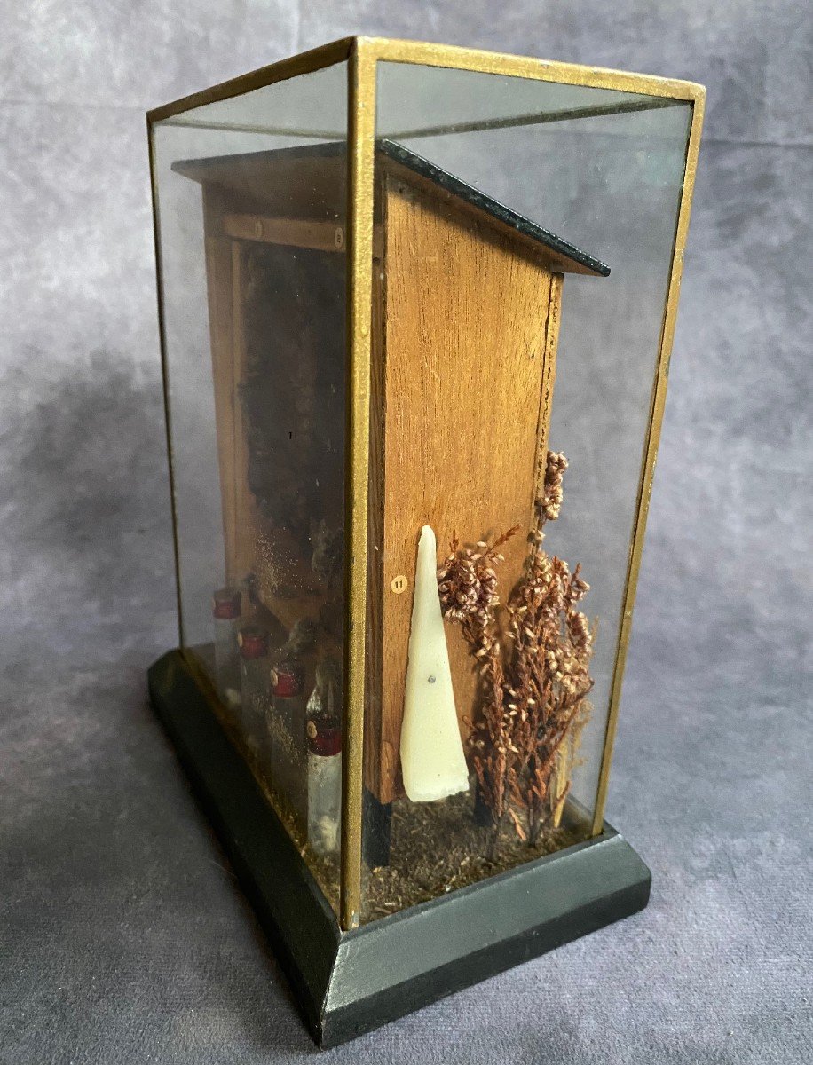 Raro Diorama Di Un Alveare - Apis Mellifera-photo-5