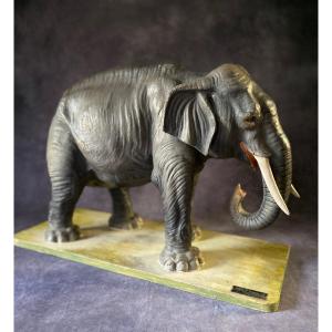 Rare Paper Mache Educational Model Of An Elephant - Italy Early 1900s