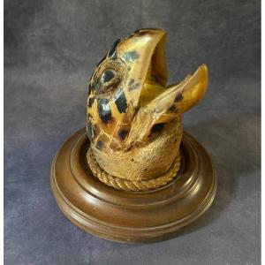 Ancient Marina Trophy - Large Turtle Head From The End Of