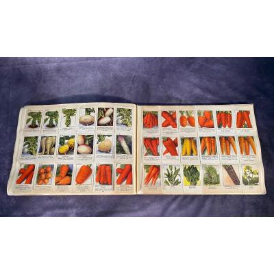 Large German Catalog Of Seeds For Flowers And Vegetables -