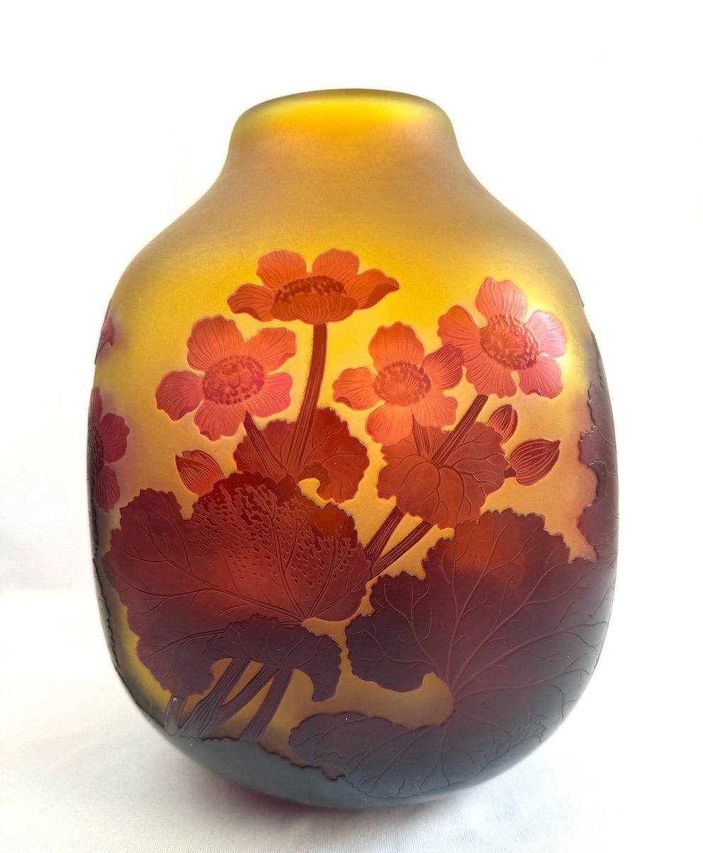 Gallé, Vase Au Décor de Souci d'eau