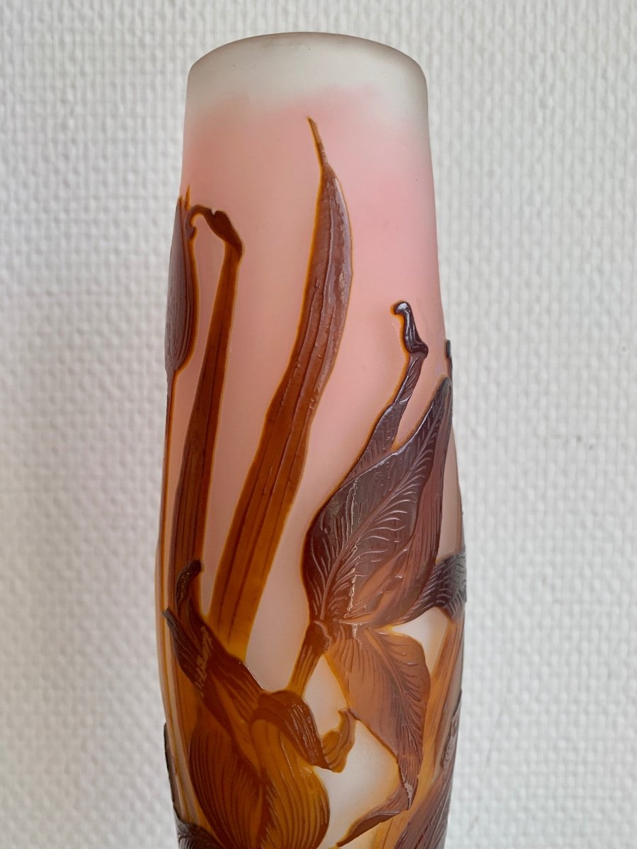 Gallé, Vase Decorated With Tulips-photo-7