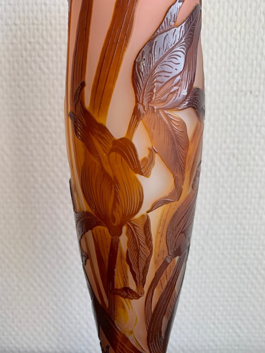 Gallé, Vase Decorated With Tulips-photo-8