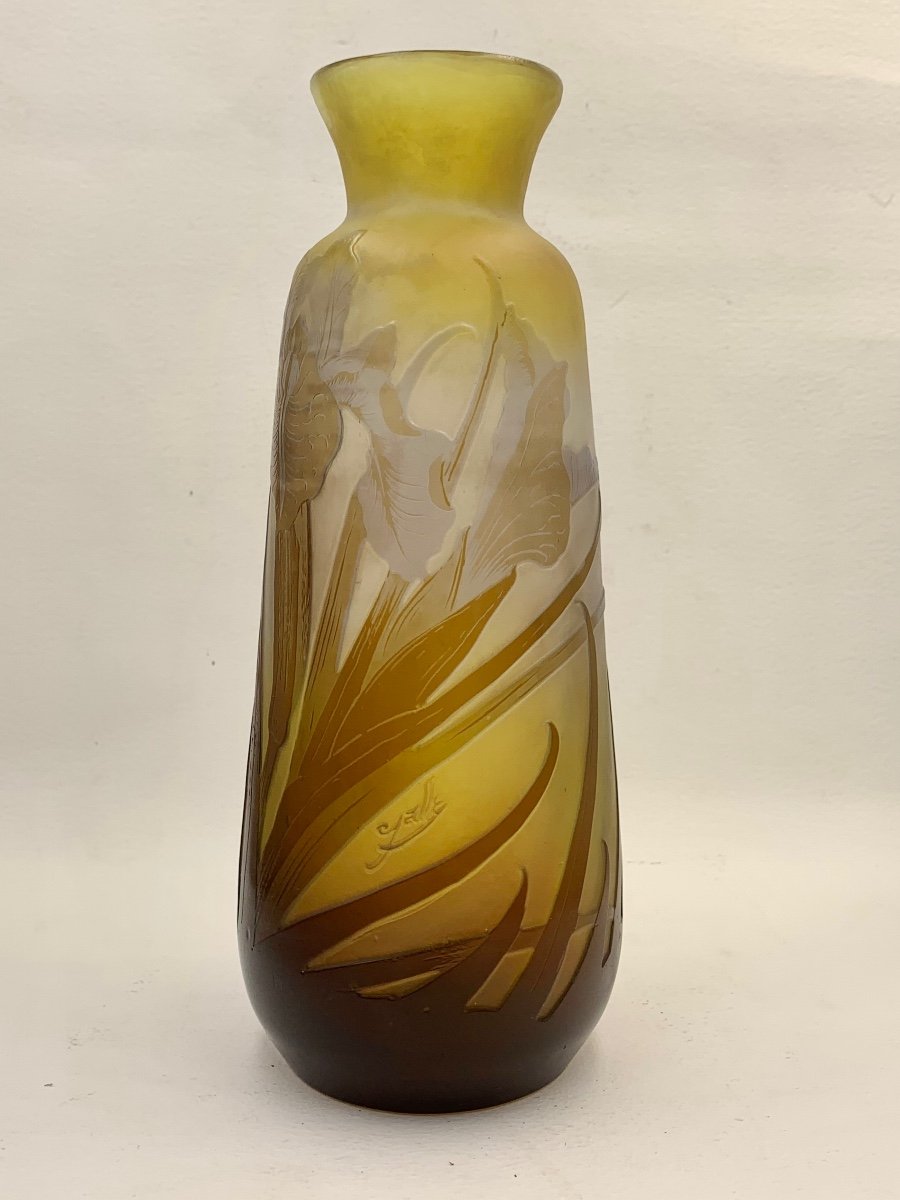 Gallé - Vase With Iris Decor-photo-2