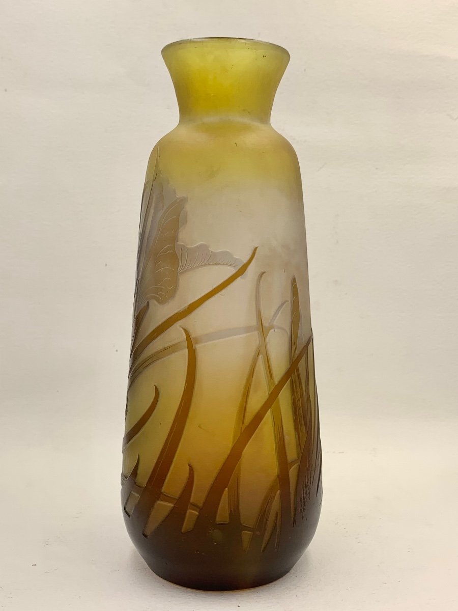Gallé - Vase With Iris Decor-photo-3