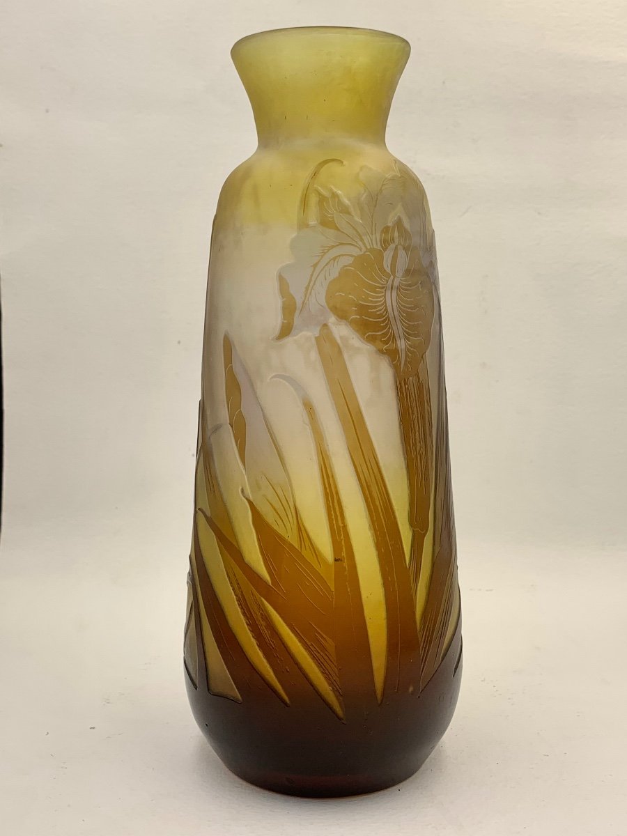 Gallé - Vase With Iris Decor-photo-1