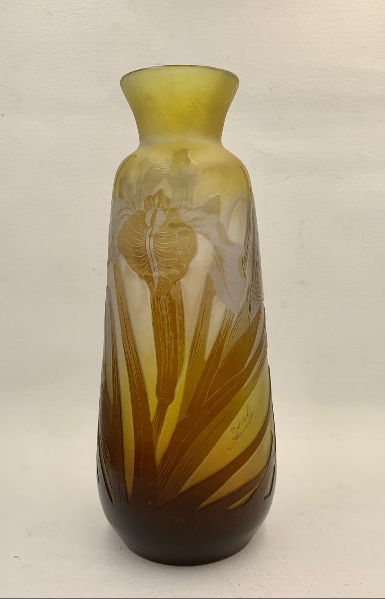 Gallé - Vase With Iris Decor
