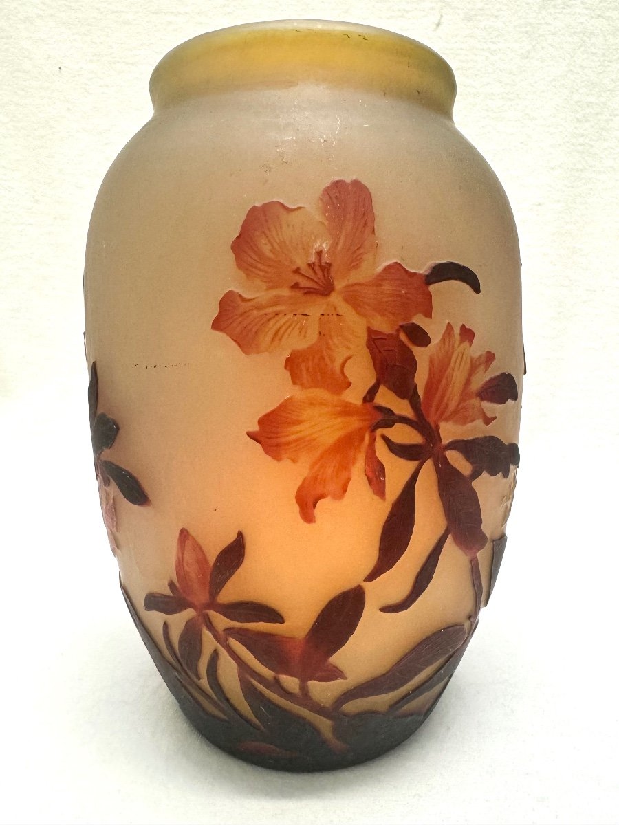 Muller Frères Lunéville - Vase à Décor Des  Azalées-photo-2