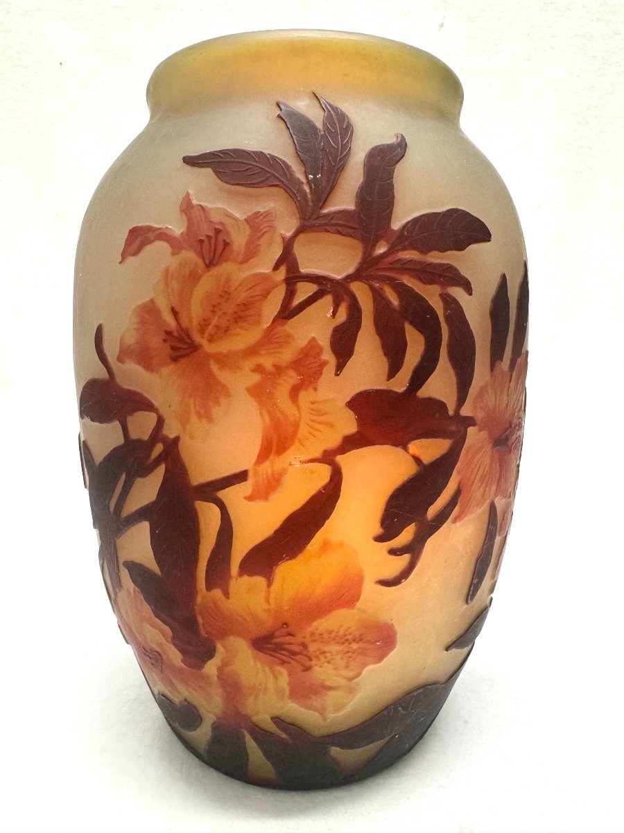Muller Frères Lunéville - Vase à Décor Des  Azalées