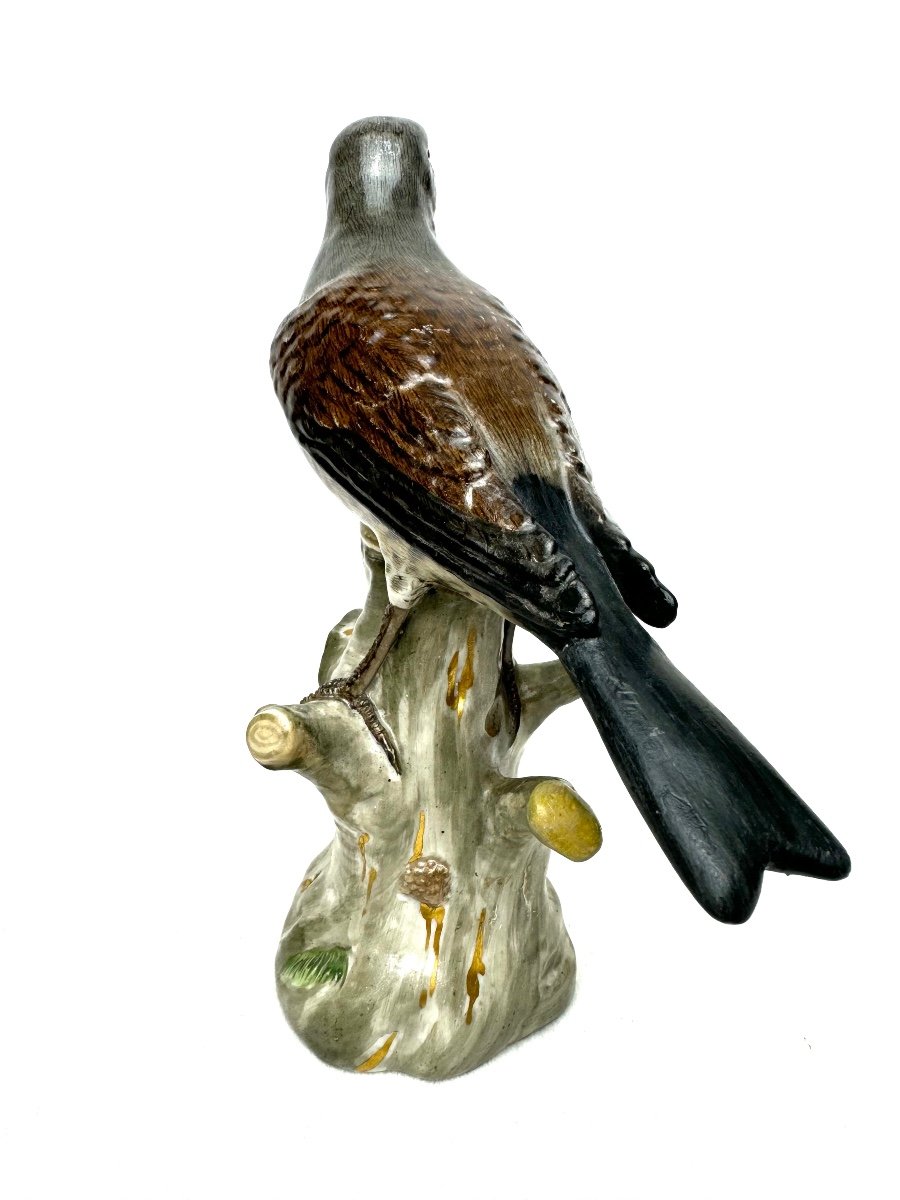 Meissen - Figure En Porcelaine D’un Turdidé-photo-2