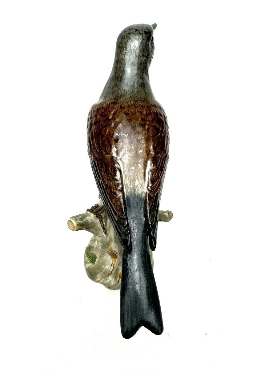 Meissen - Figure En Porcelaine D’un Turdidé-photo-4