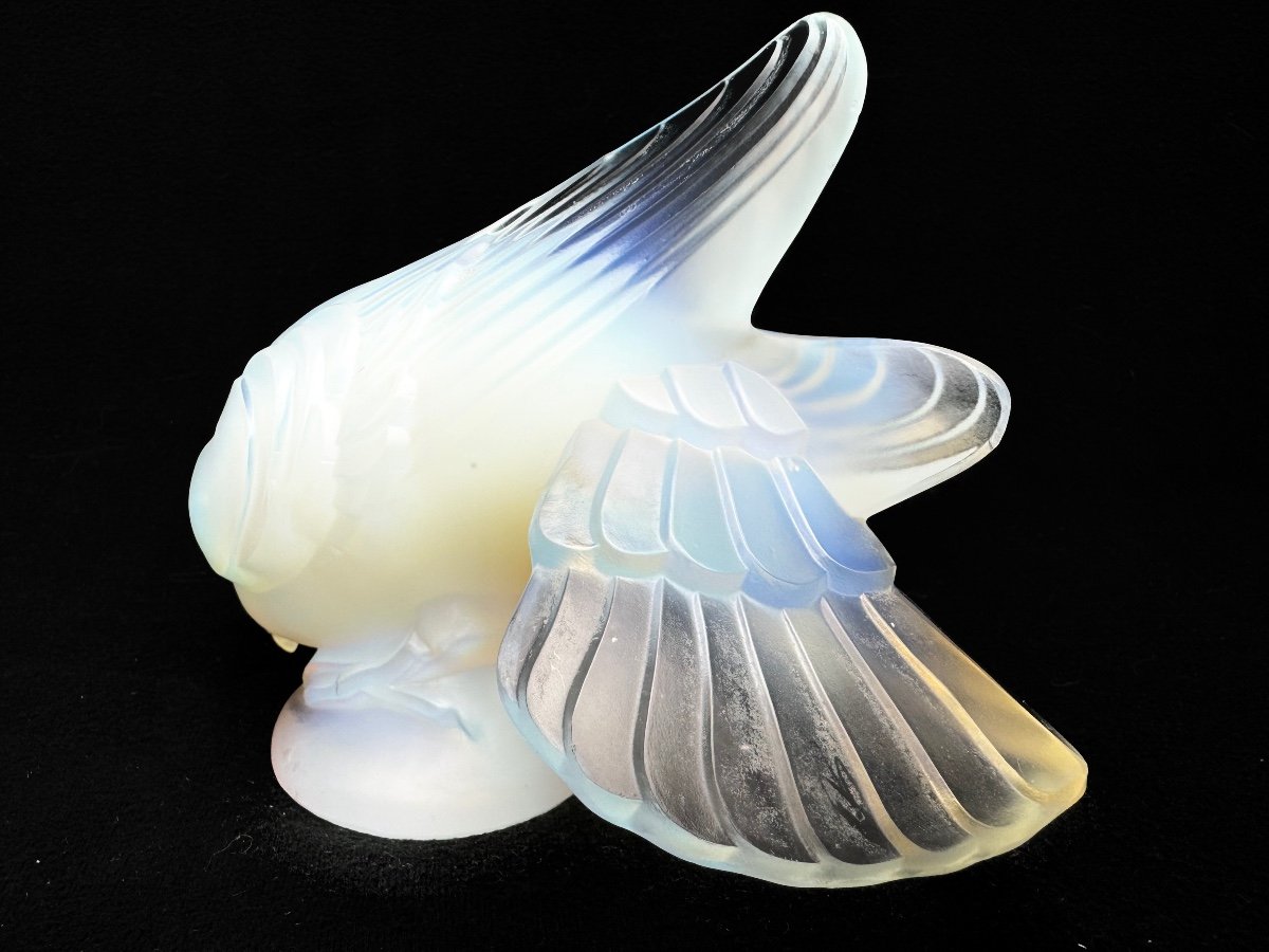 Sabino France "Pigeon" En Verre Opalescent-photo-4
