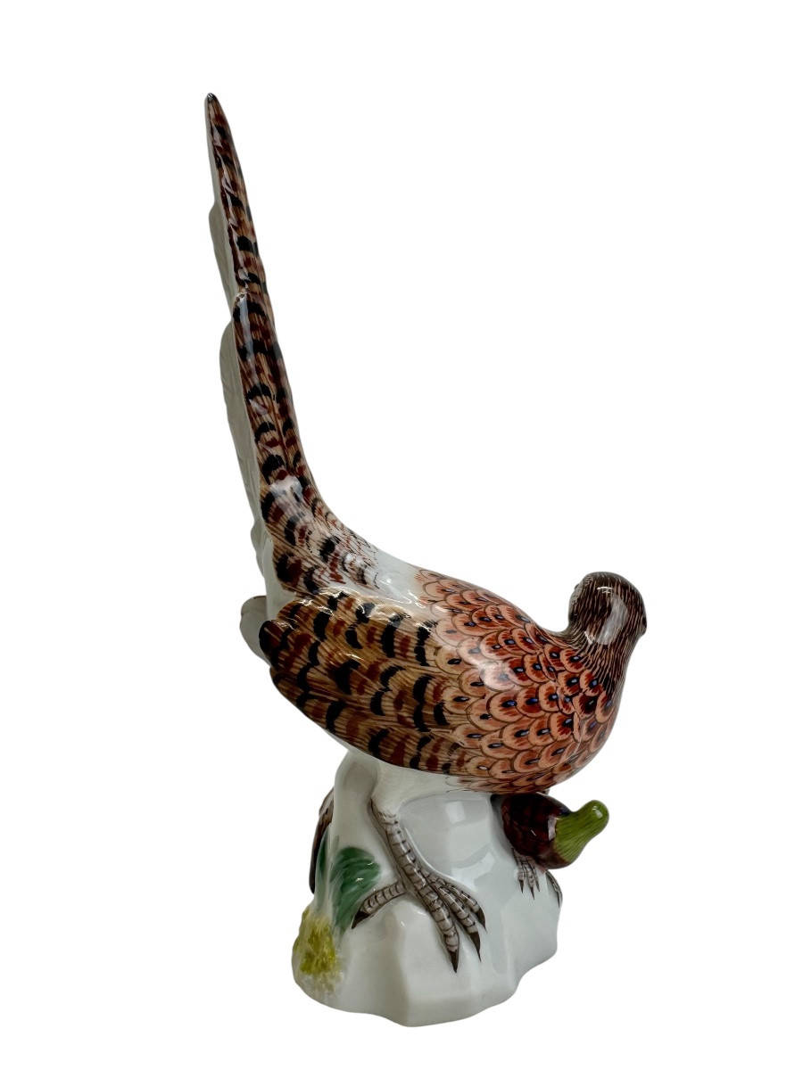 Meissen - Porcelain Group - Pheasant With Three Young-photo-3