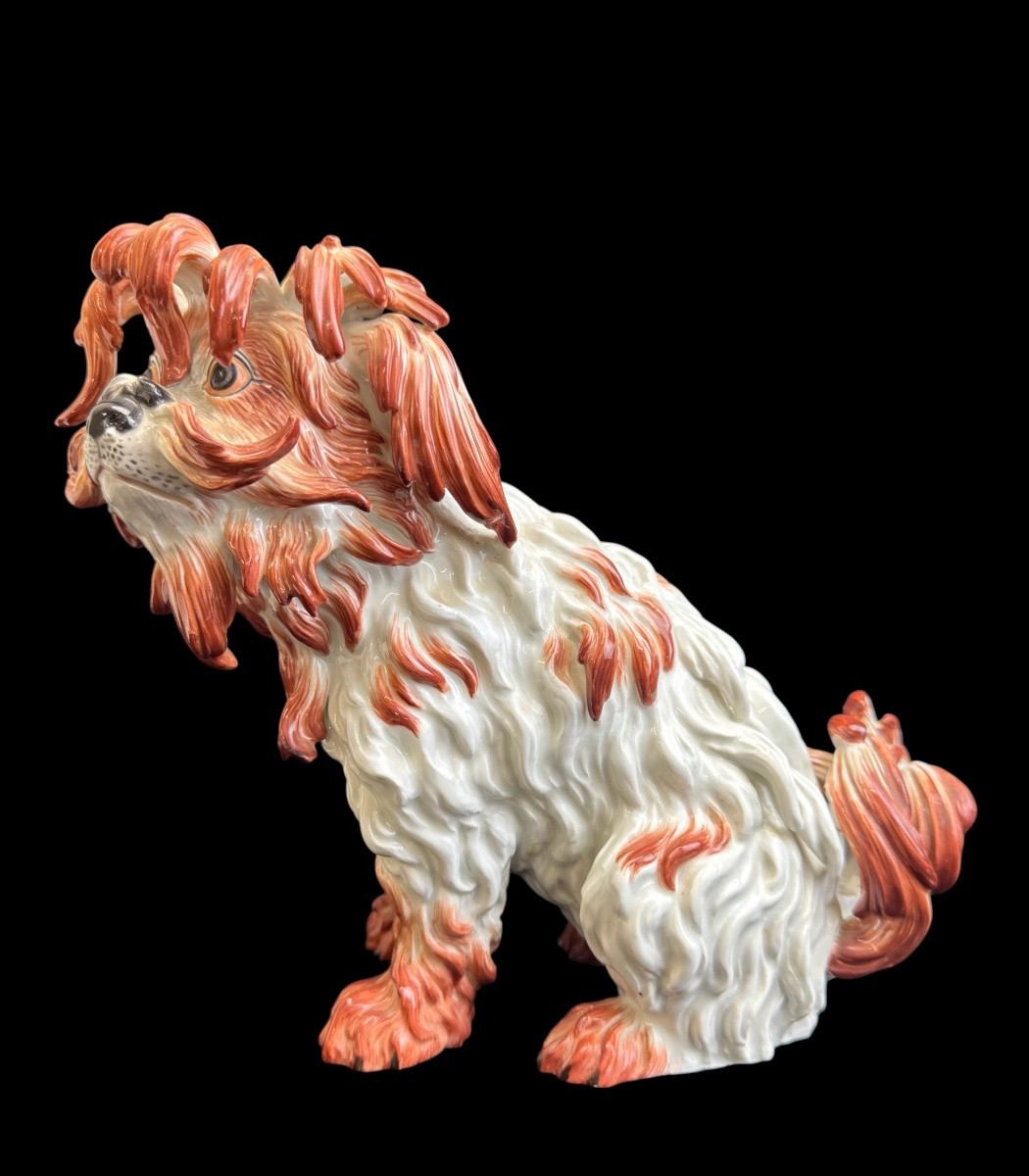 Meissen Figure en Porcelaine Chien Bolognais-photo-2