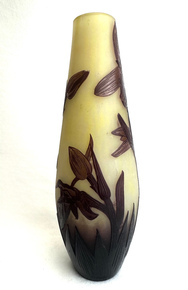 Delatte - vase à décor des orchidées -photo-1