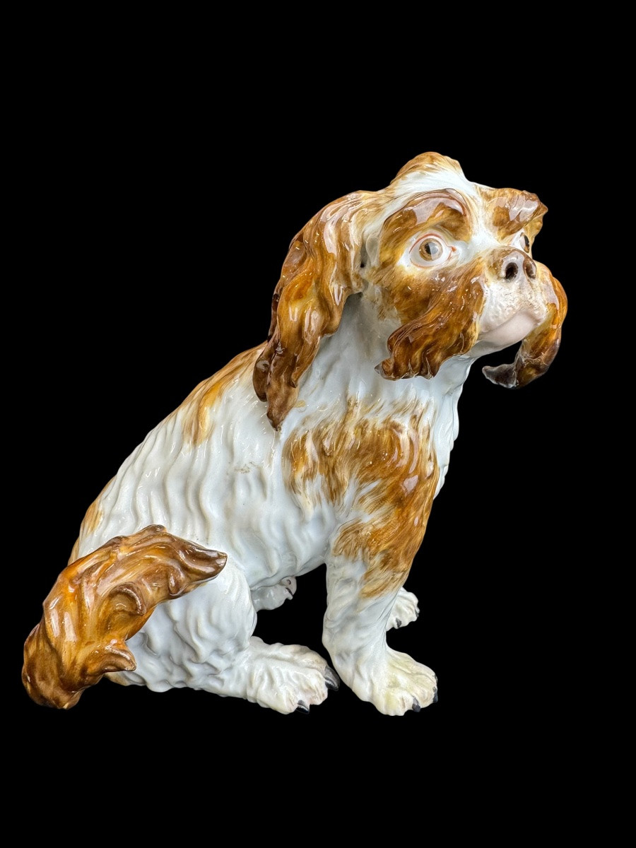 Meissen - Porcelain Dog “bologneser Hund”-photo-2