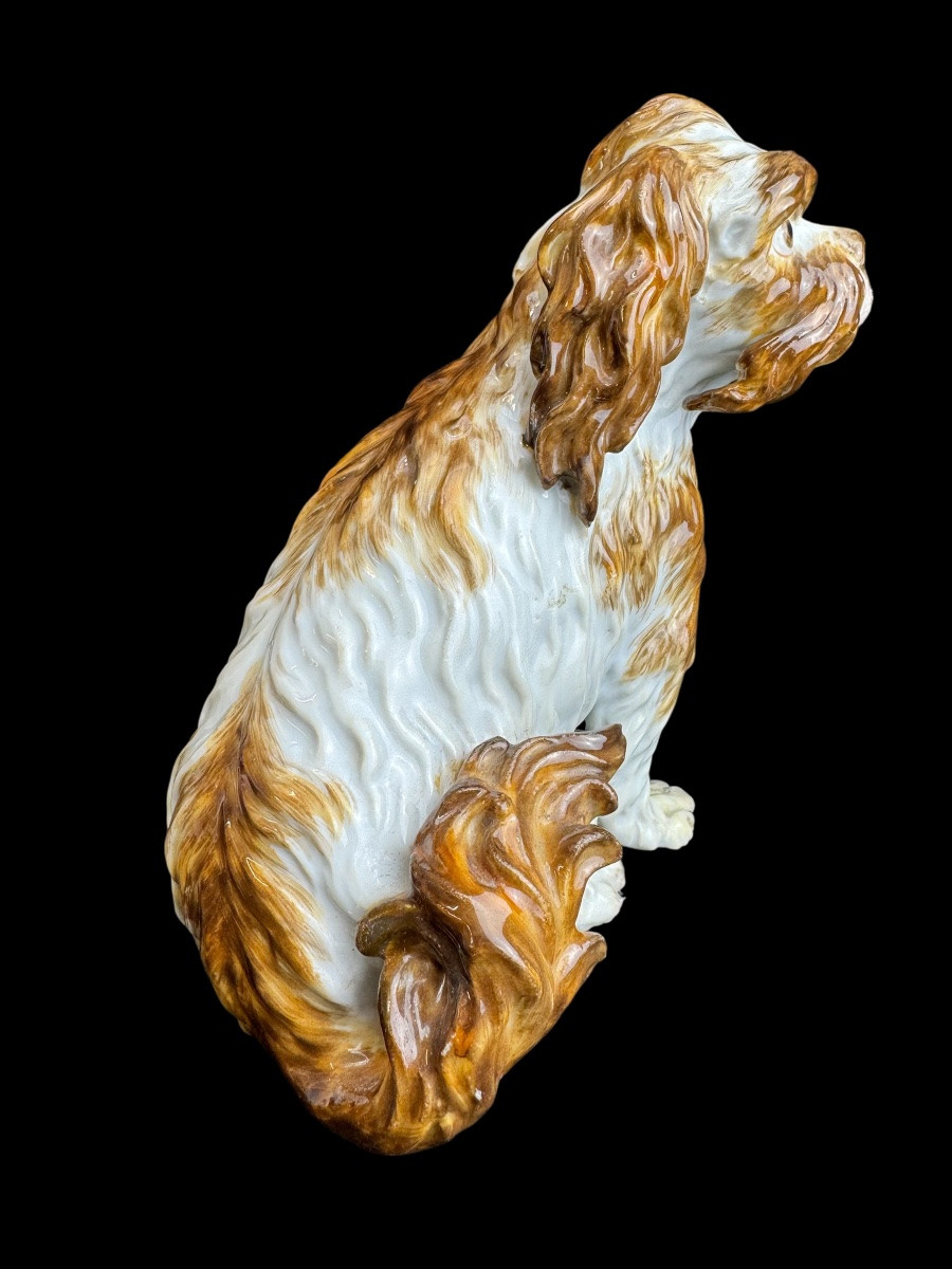 Meissen - Porcelain Dog “bologneser Hund”-photo-2