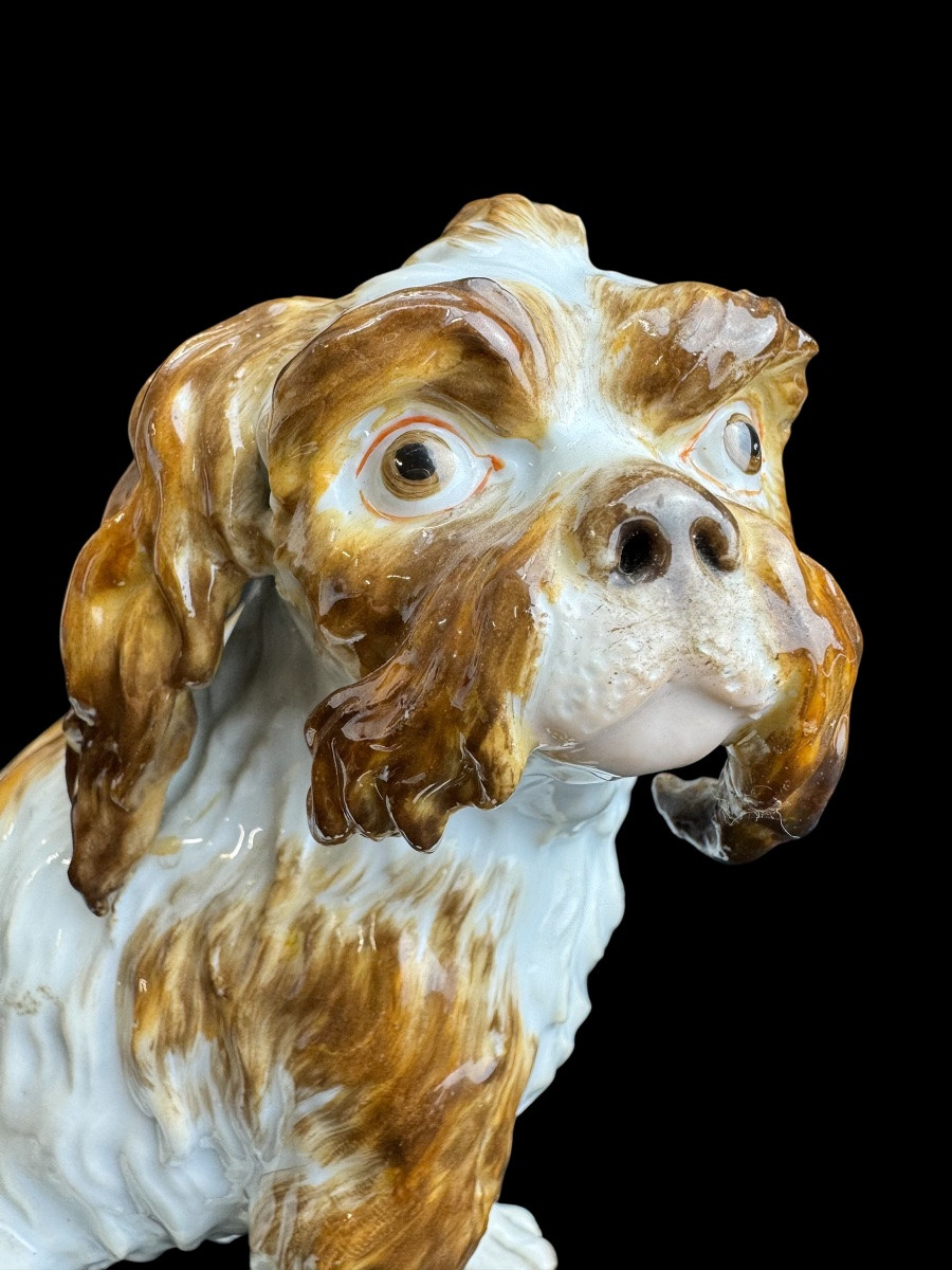 Meissen - Porcelain Dog “bologneser Hund”-photo-3