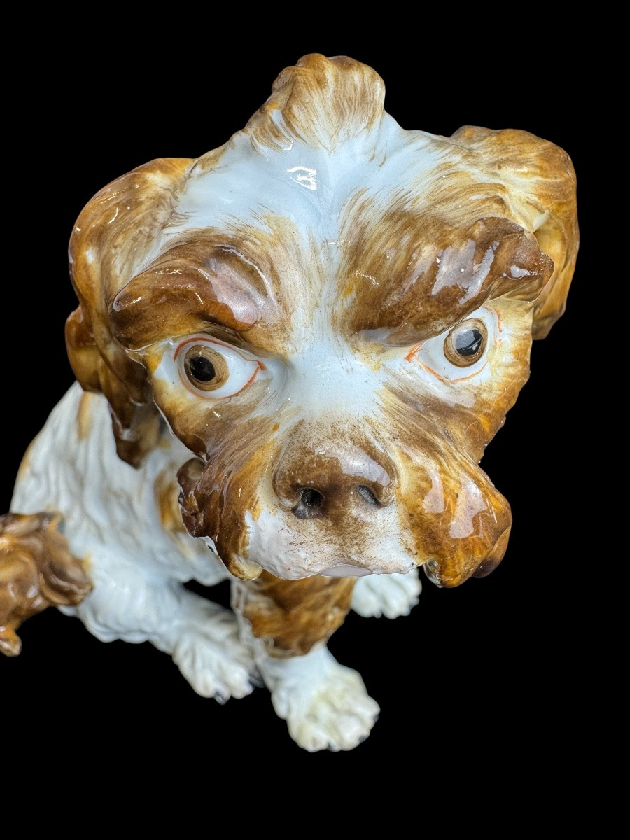 Meissen - Porcelain Dog “bologneser Hund”-photo-4