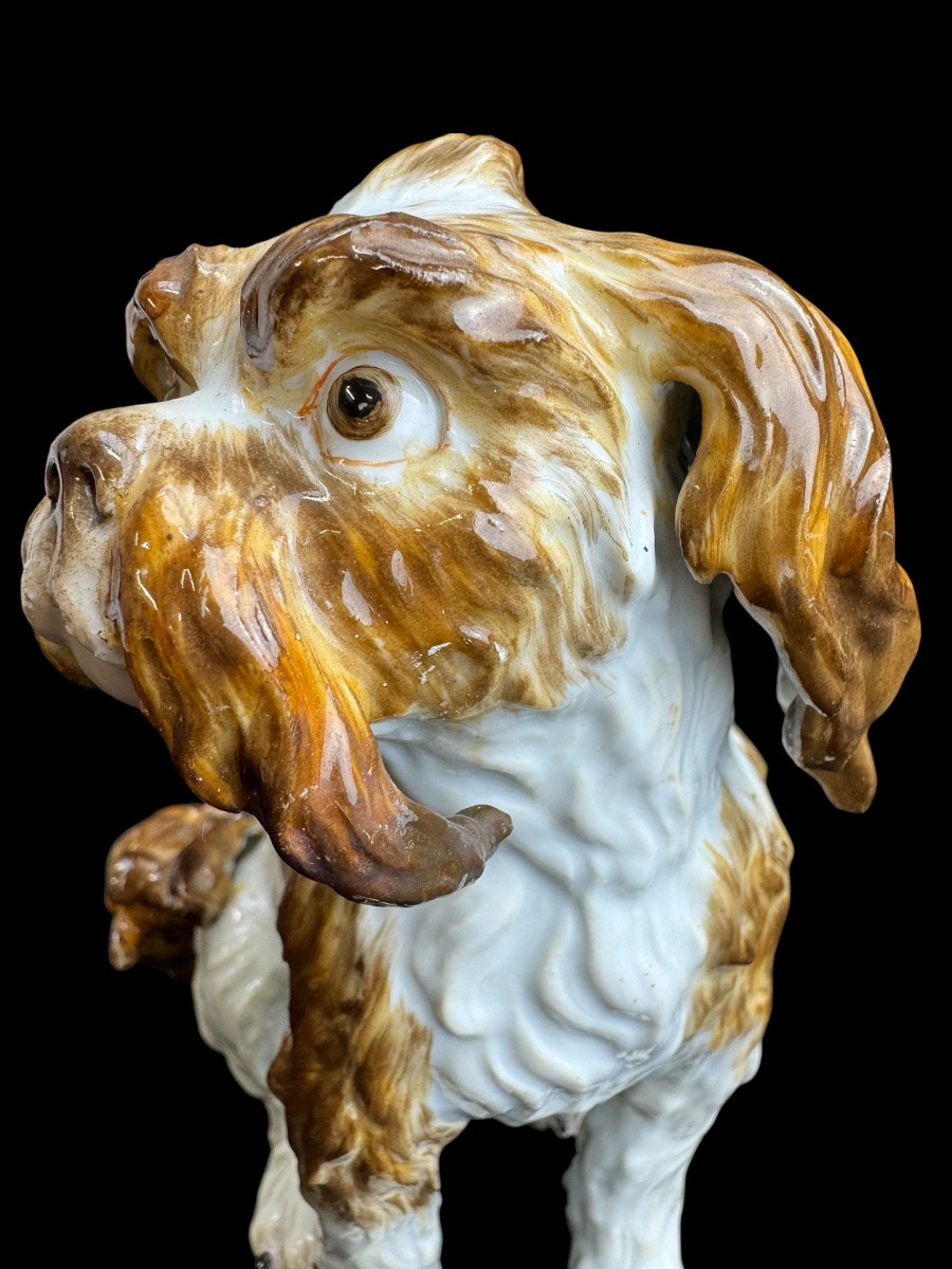 Meissen - Porcelain Dog “bologneser Hund”-photo-5