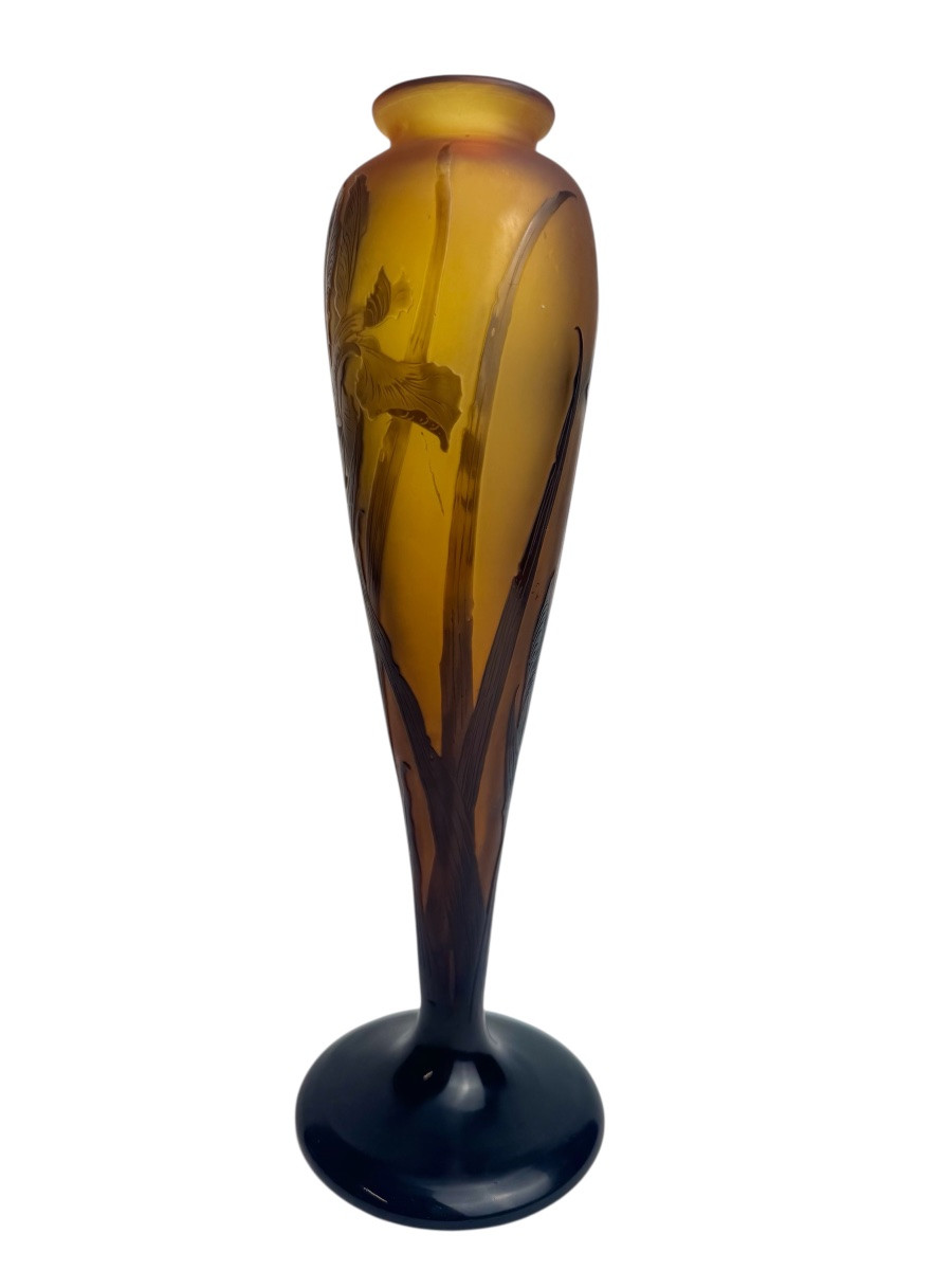 Paul Nicolas d'Argental - Vase Decorated With Iris-photo-2