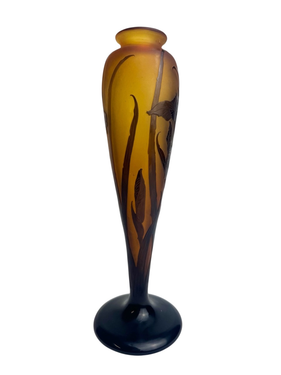 Paul Nicolas d'Argental - Vase Decorated With Iris-photo-3