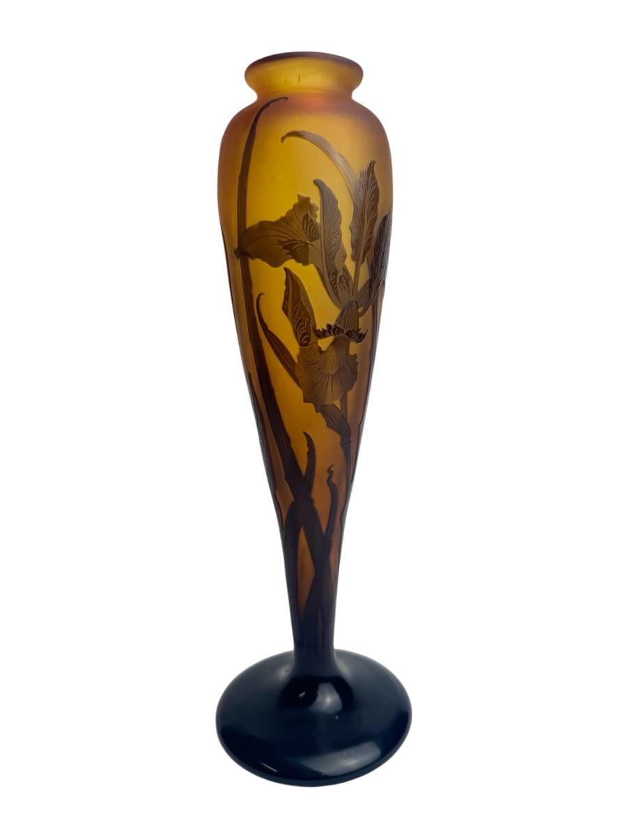 Paul Nicolas d'Argental - Vase Decorated With Iris-photo-4