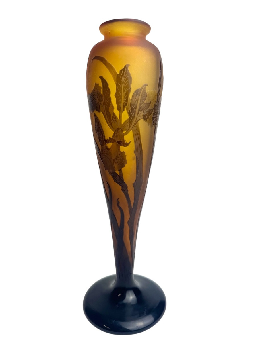 Paul Nicolas d'Argental - Vase Decorated With Iris-photo-1