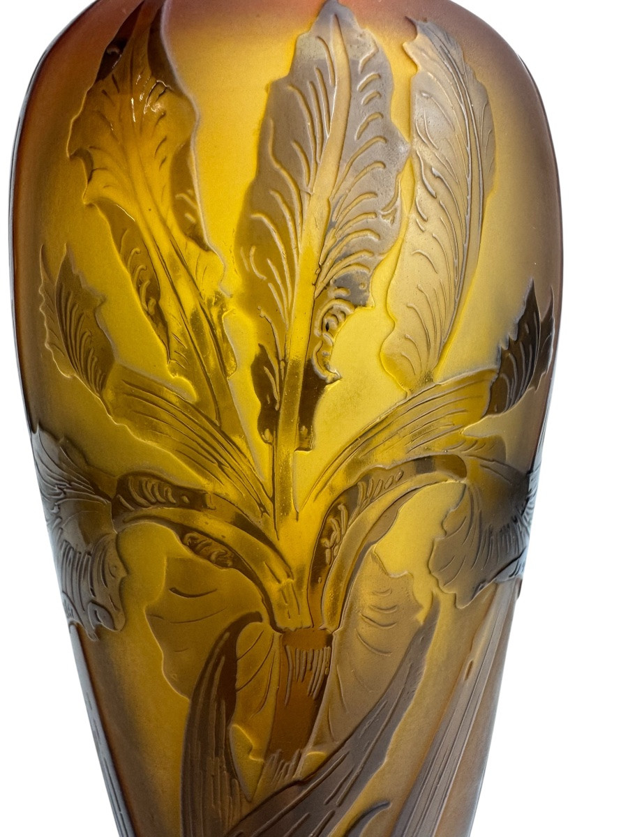 Paul Nicolas d'Argental - Vase Decorated With Iris-photo-2
