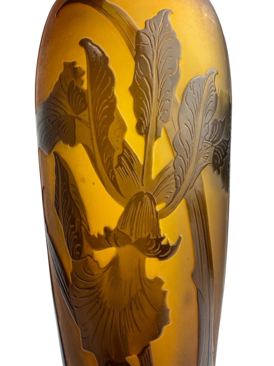 Paul Nicolas d'Argental - Vase Decorated With Iris-photo-3