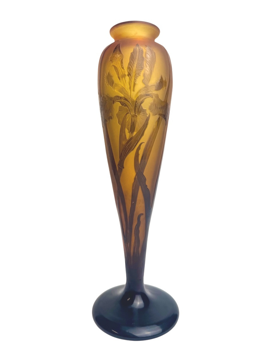 Paul Nicolas d'Argental - Vase Decorated With Iris