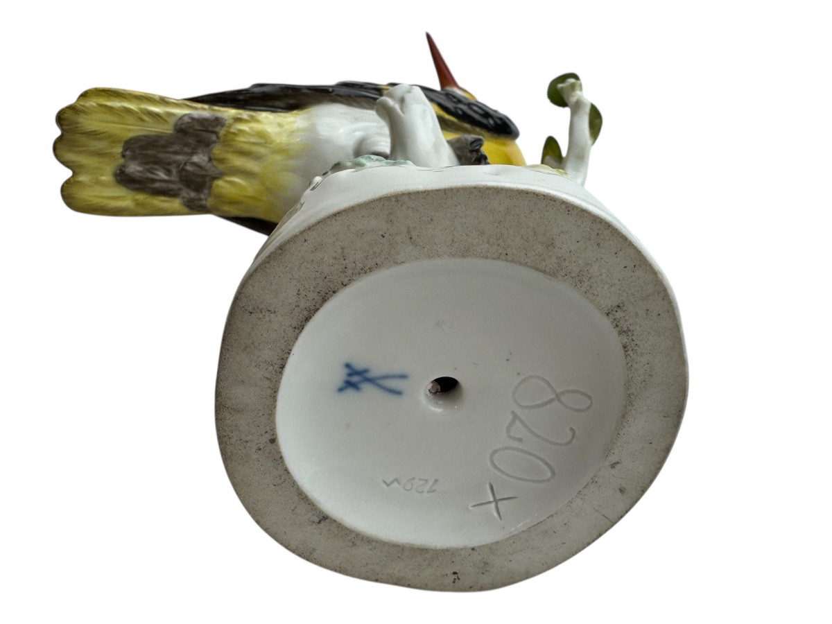 Meissen - Figure en porcelaine « Loriot doré sur un tronc »-photo-6