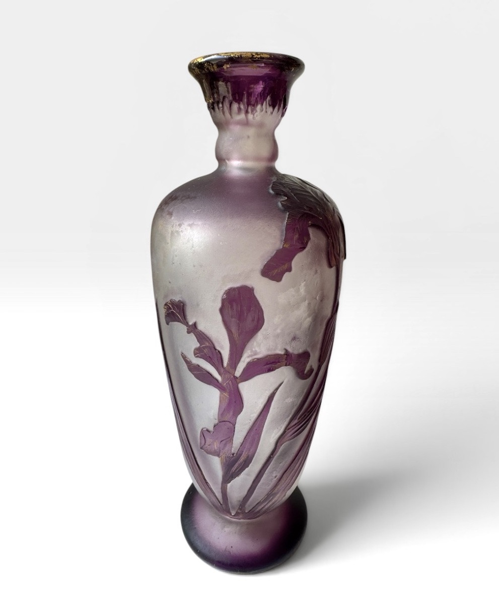 Désiré Christian - Burgun, Schverer & C° Vase aux iris -photo-2