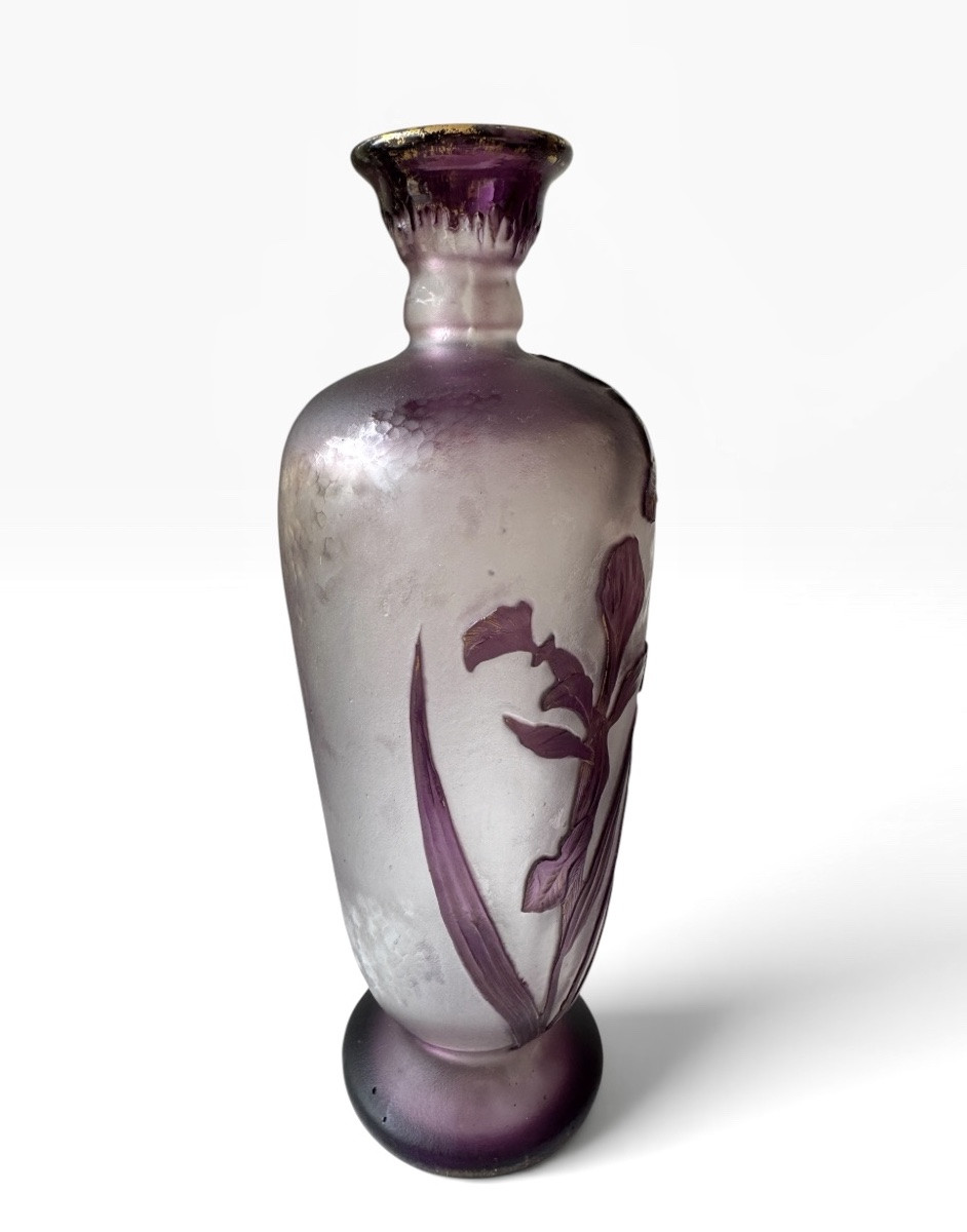 Désiré Christian - Burgun, Schverer & C° Vase aux iris -photo-3