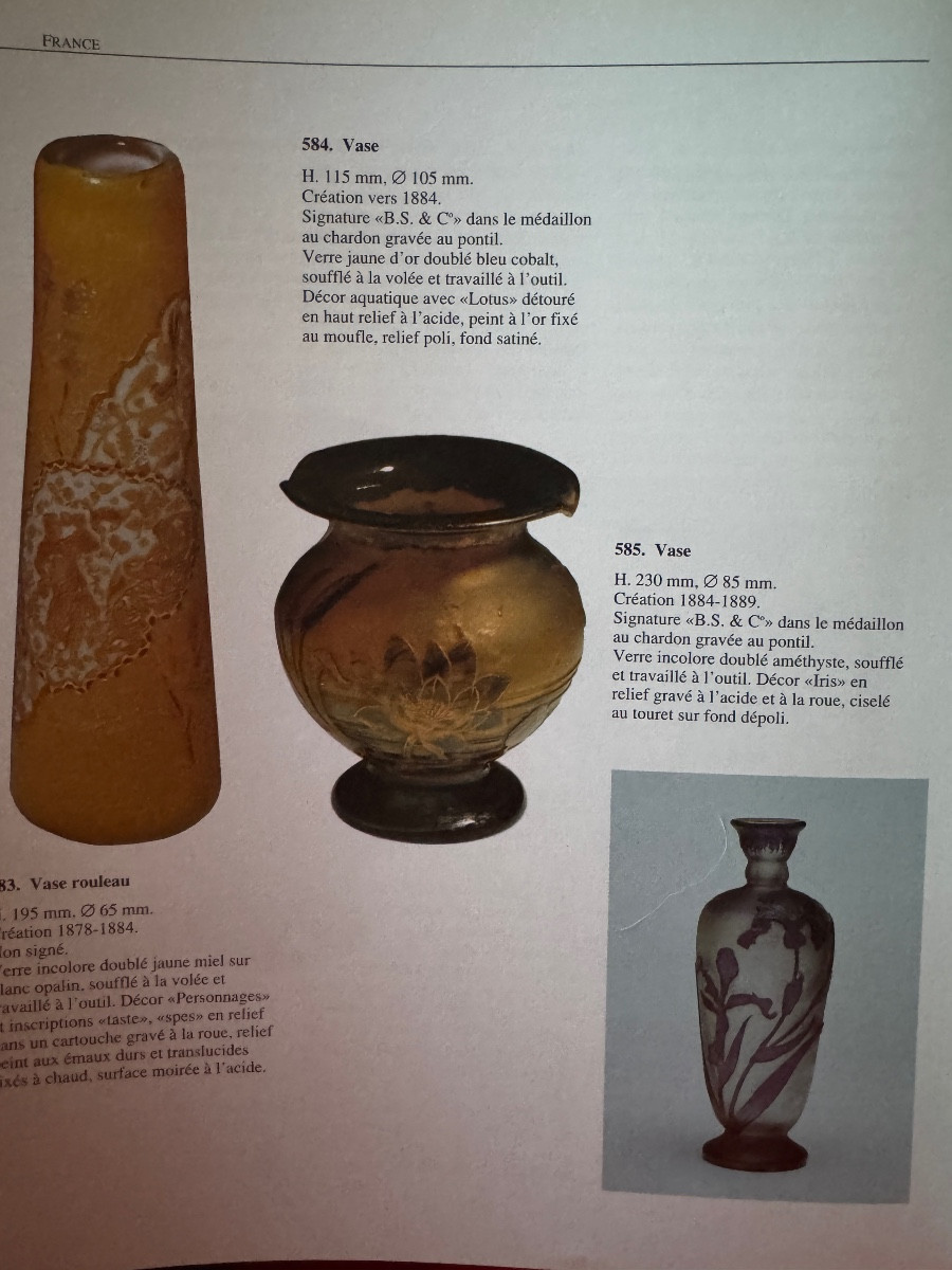 Désiré Christian - Burgun, Schverer & C° Vase aux iris -photo-8