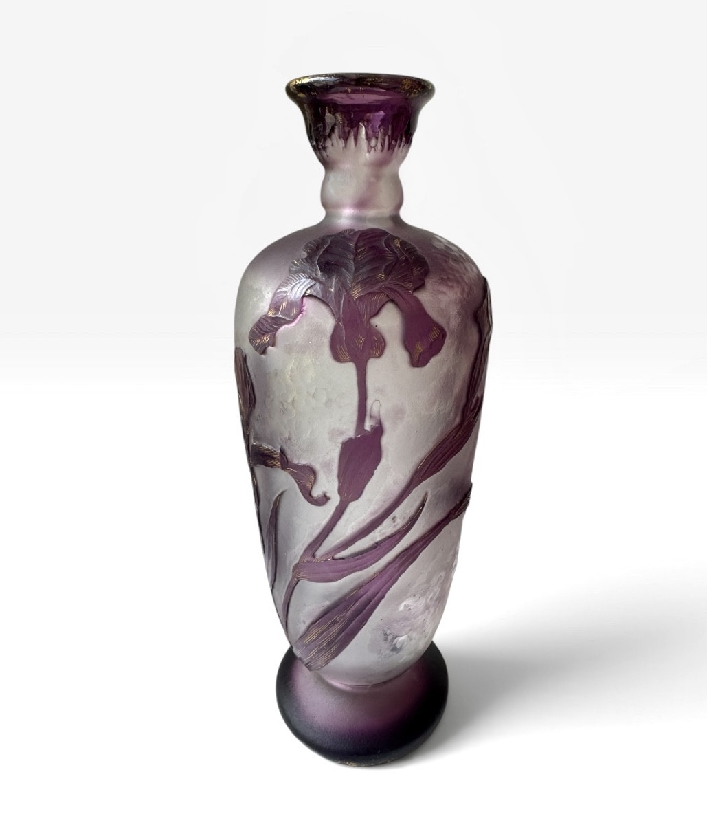 Désiré Christian - Burgun, Schverer & C° Vase aux iris 