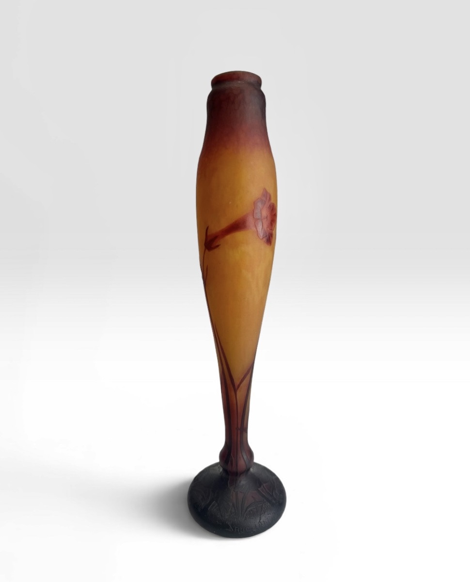 Daum Nancy - Tobacco Flowers Vase-photo-4